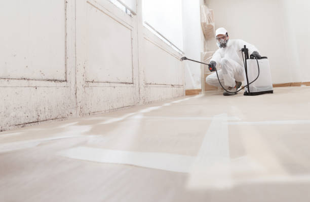 24/7 Emergency Commercial Mold Remediation experts in Osprey, FL