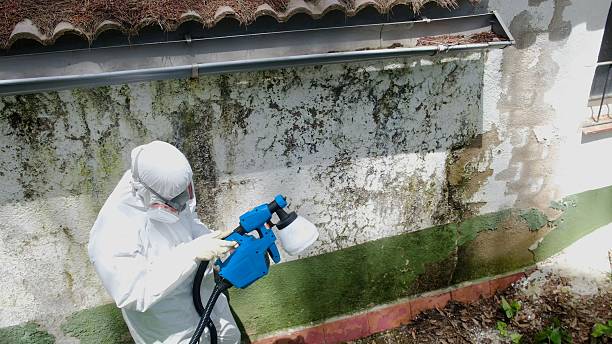 Top rated local Commercial Mold Remediation specialists in Osprey, FL